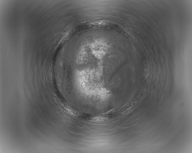 X0000055980708200509091953