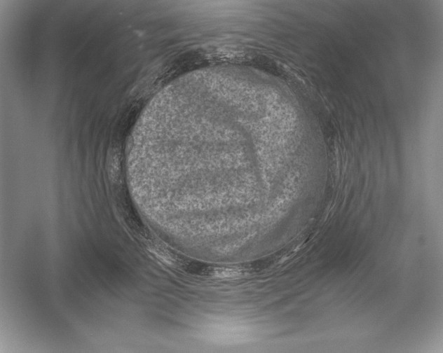 X0000055980709200509091953