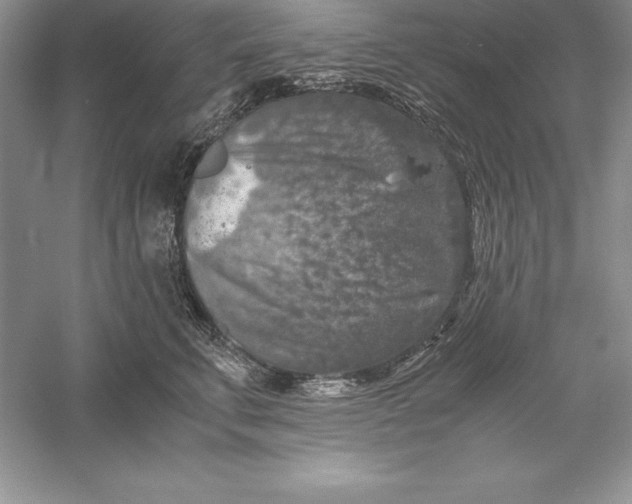 X0000055980711200509091953