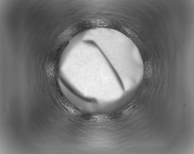 X0000055980713200509091953