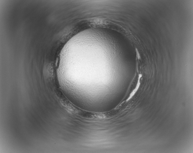 X0000055980715200509091953