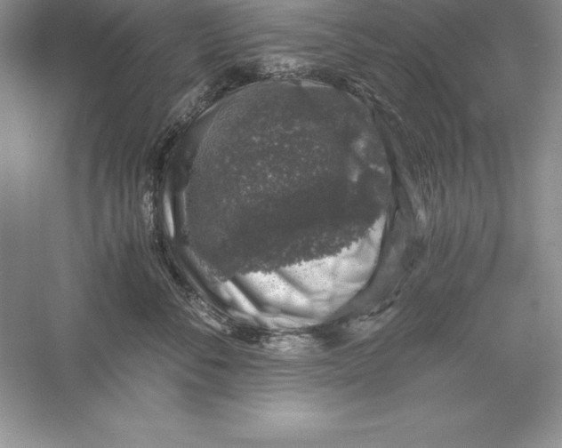 X0000055980716200509091953