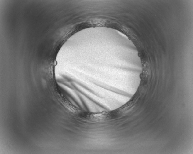 X0000055980717200509091953