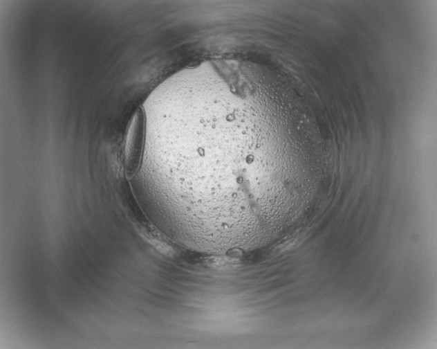 X0000055980719200509091953