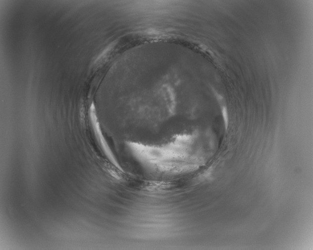 X0000055980720200509091953