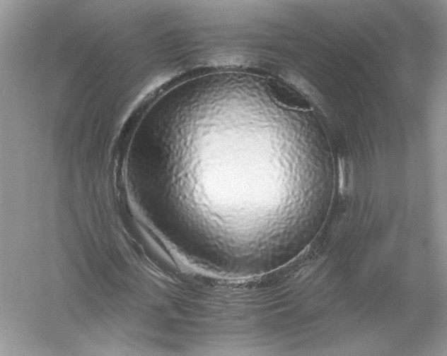 X0000055980723200509091952