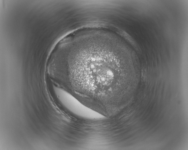 X0000055980724200509091952