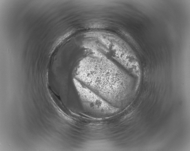 X0000055980725200509091952