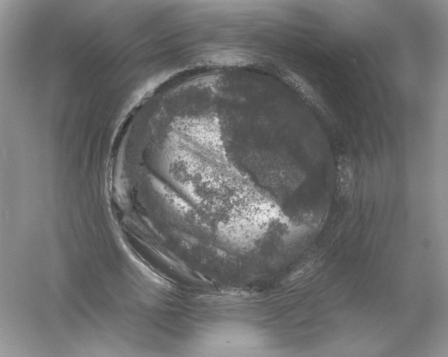 X0000055980726200509091952