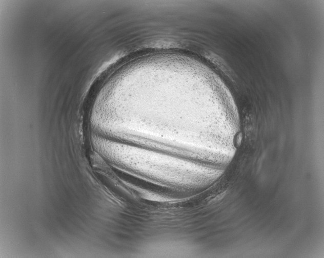 X0000055980727200509091952