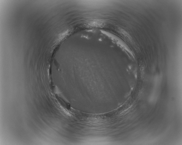 X0000055980729200509091952