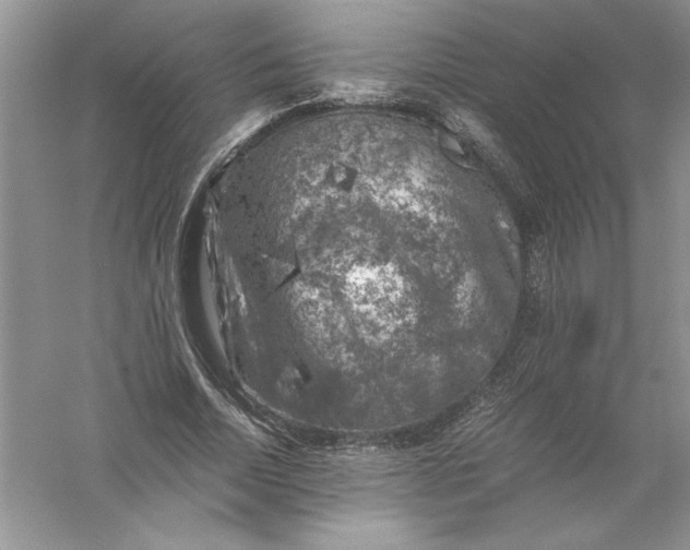 X0000055980730200509091952