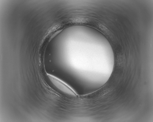 X0000055980731200509091952