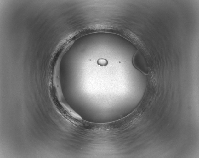 X0000055980732200509091952