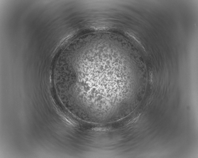 X0000055980733200509091952