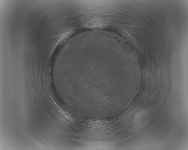 X0000055980735200509091952