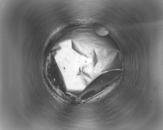 X0000055980736200509091952