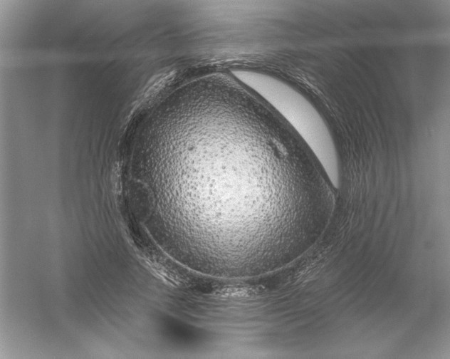 X0000055980738200509091952