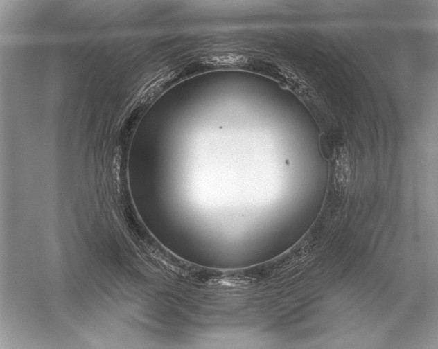 X0000055980739200509091952