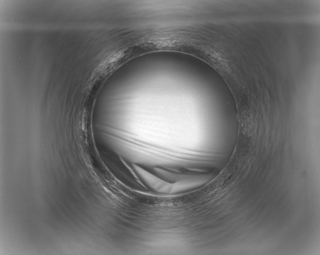 X0000055980740200509091953