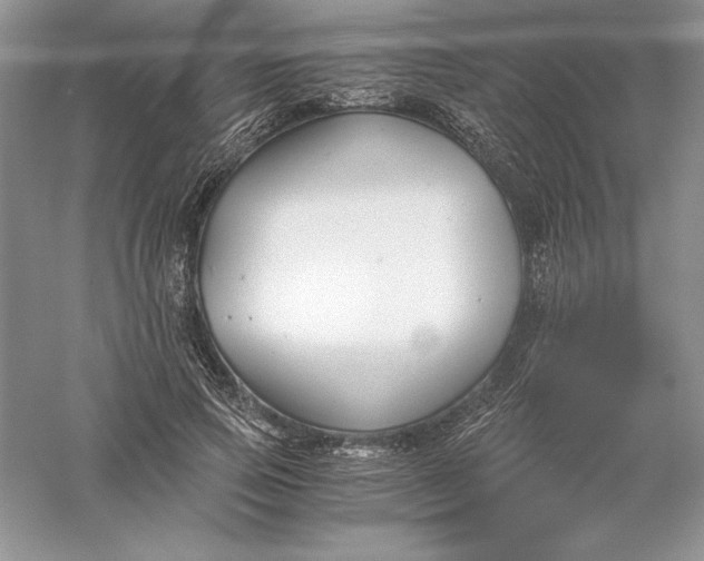 X0000055980741200509091953