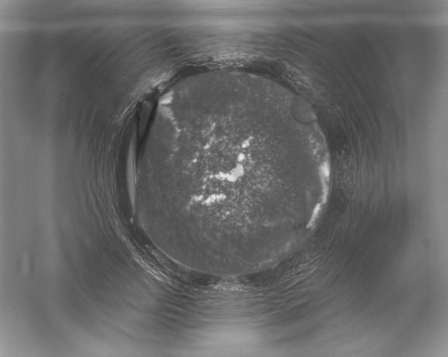 X0000055980742200509091953