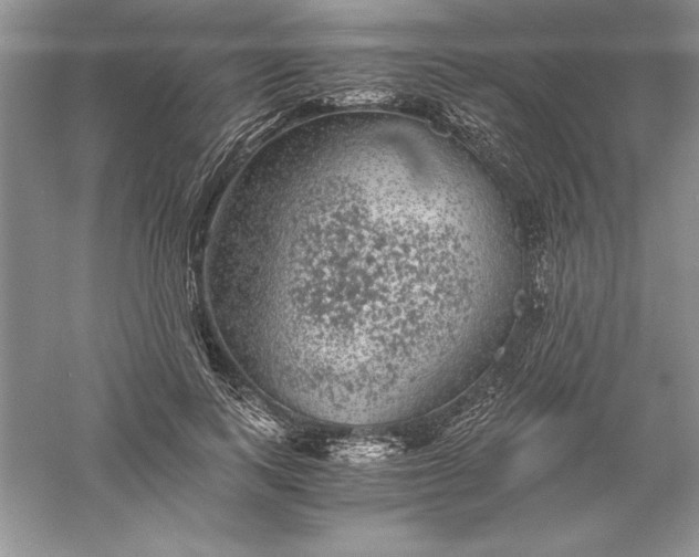 X0000055980743200509091953