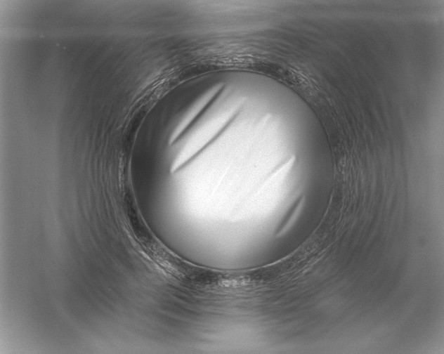 X0000055980744200509091953