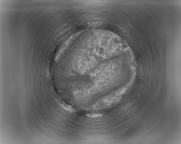 X0000055980745200509091953