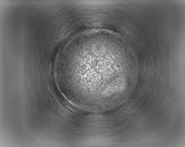 X0000055980747200509091953