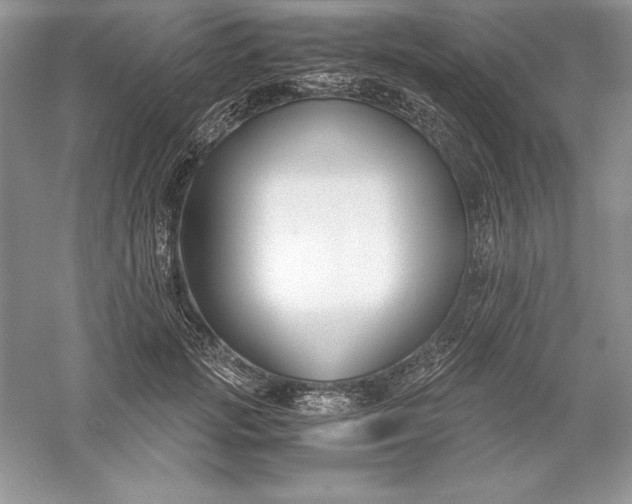 X0000055980749200509091953