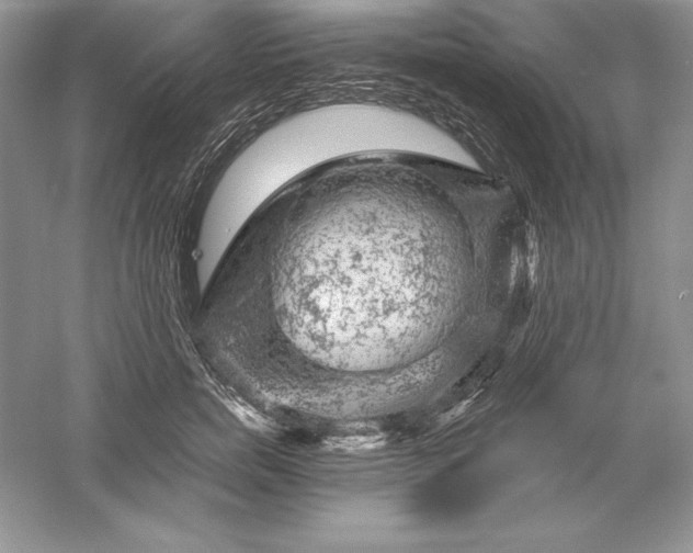 X0000055980750200509091953