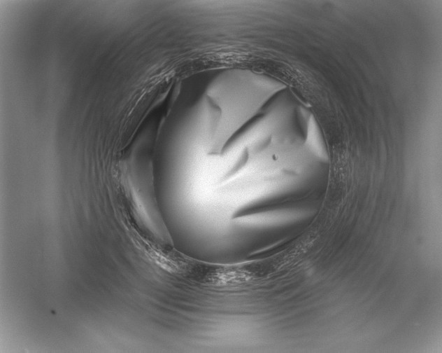 X0000055980752200509091953