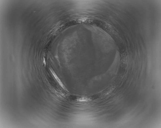 X0000055980754200509091953