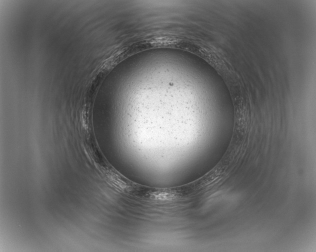 X0000055980755200509091953