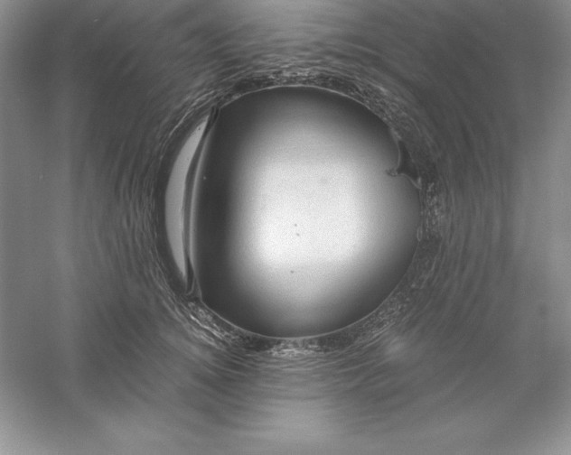 X0000055980756200509091953