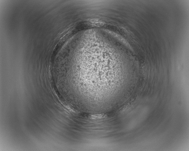 X0000055980757200509091953