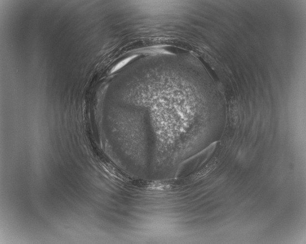 X0000055980760200509091953