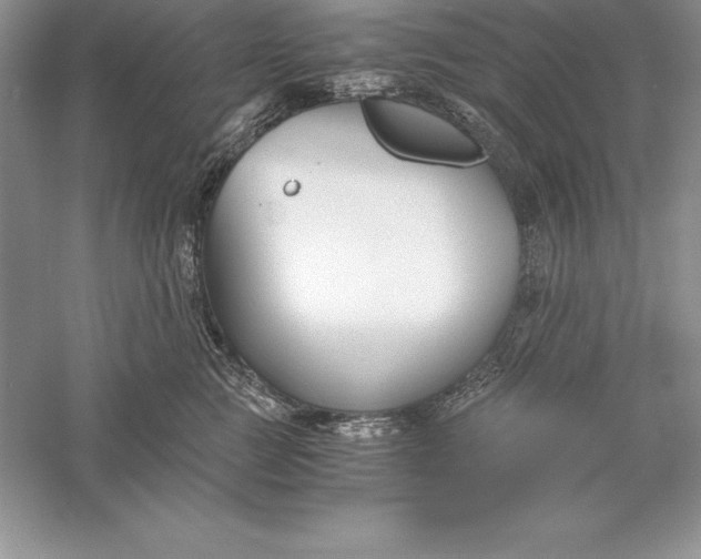 X0000055980761200509091953