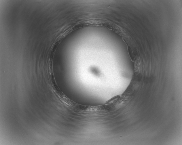 X0000055980764200509091953