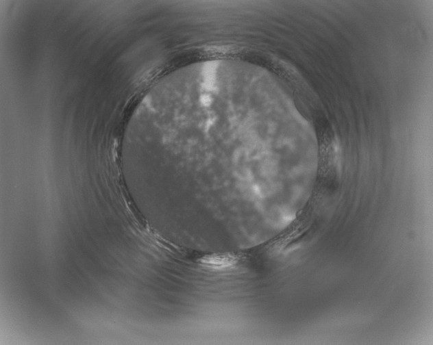 X0000055980765200509091953