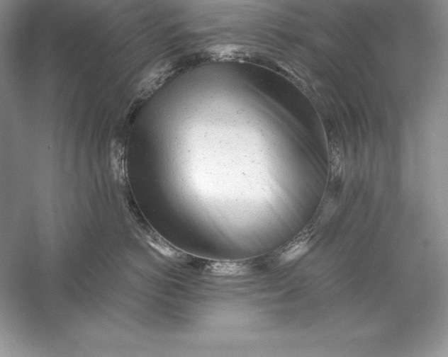 X0000055980766200509091953