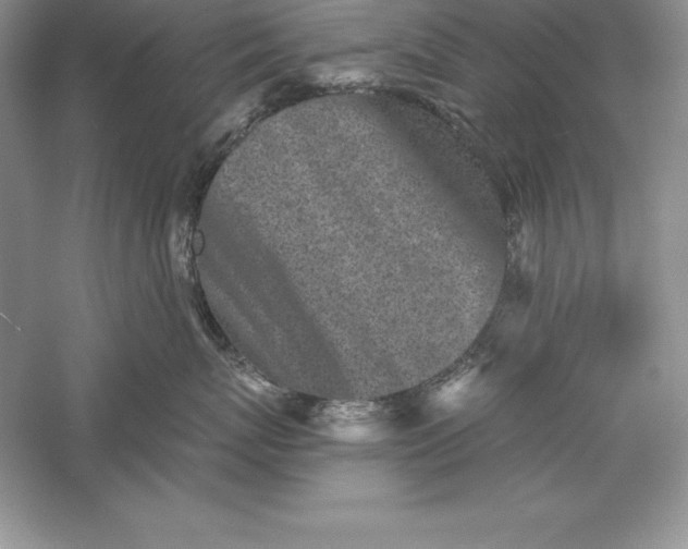 X0000055980767200509091953