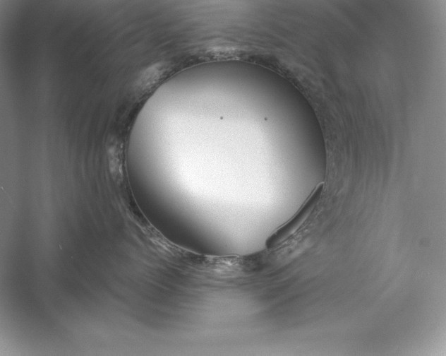 X0000055980768200509091953