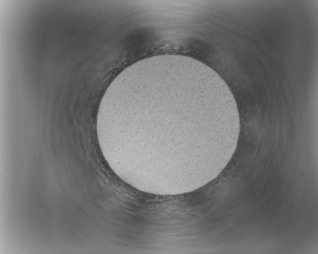 X0000055980769200509091952