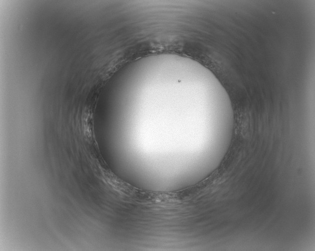 X0000055980770200509091952