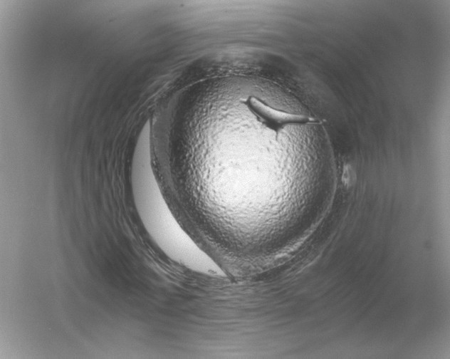 X0000055980771200509091952