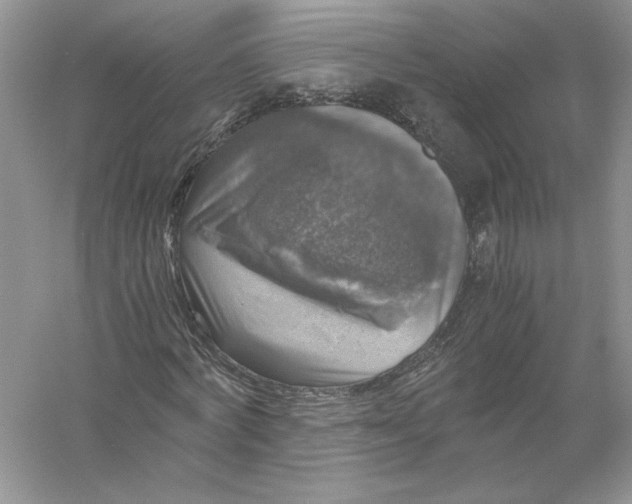 X0000055980772200509091952