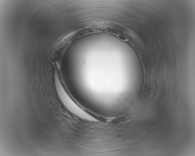 X0000055980773200509091952