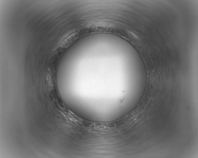 X0000055980774200509091952